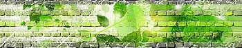 3dSKINALI_4001_705.jpg