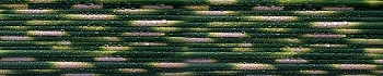 3dSKINALI_4001_707.jpg