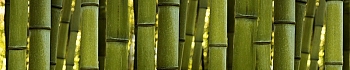 3dSKINALI_4001_708.jpg