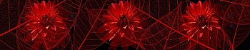 3dSKINALI_4001_709.jpg
