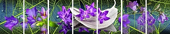 3dSKINALI_4001_710.jpg