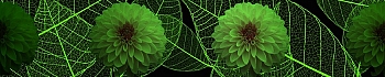 3dSKINALI_4001_711.jpg