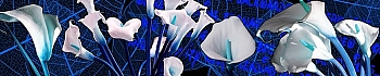 3dSKINALI_4001_713.jpg
