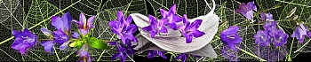 3dSKINALI_4001_719.jpg