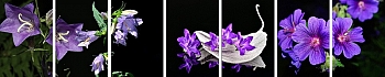 3dSKINALI__09.jpg