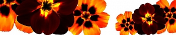 3dSKINALI__105.jpg