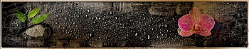 3dSKINALI__1321.jpg