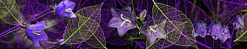 3dSKINALI__1334.jpg