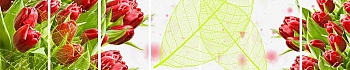 3dSKINALI__1347.jpg