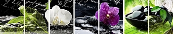 3dSKINALI__1348.jpg