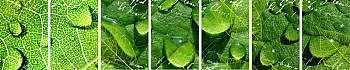 3dSKINALI__1355.jpg