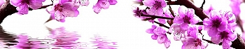 3dSKINALI__1357.jpg