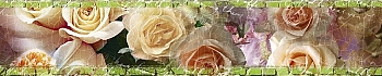 3dSKINALI__1371.jpg