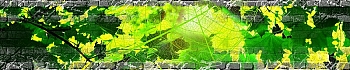 3dSKINALI__1377.jpg