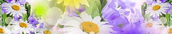 3dSKINALI__1378.jpg