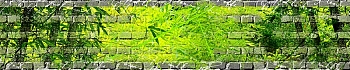 3dSKINALI__1385.jpg