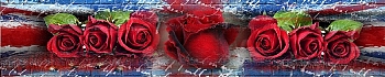 3dSKINALI__1395.jpg