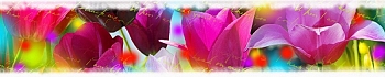 3dSKINALI__1397.jpg