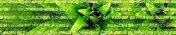3dSKINALI__1400.jpg