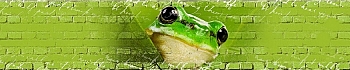 3dSKINALI__1402.jpg