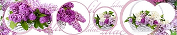 3dSKINALI__1409.jpg