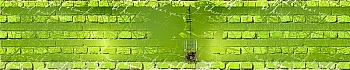3dSKINALI__1411.jpg