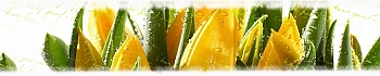 3dSKINALI__1428.jpg
