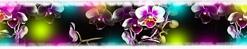 3dSKINALI__1429.jpg