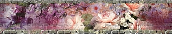 3dSKINALI__1437.jpg