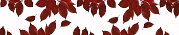 3dSKINALI__1444.jpg
