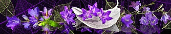 3dSKINALI__1449.jpg