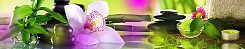 3dSKINALI__185.jpg