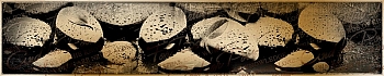 3dSKINALI__2086.jpg