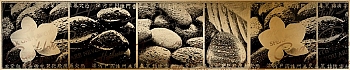 3dSKINALI__2088.jpg