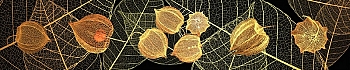 3dSKINALI__2093.jpg