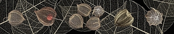 3dSKINALI__21.jpg
