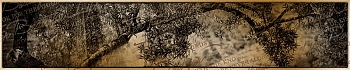 3dSKINALI__2119.jpg