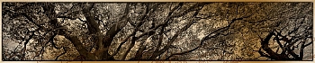 3dSKINALI__2121.jpg