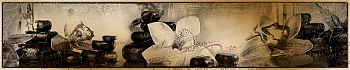 3dSKINALI__2122.jpg