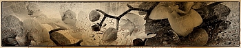 3dSKINALI__2131.jpg