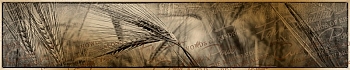 3dSKINALI__2135.jpg