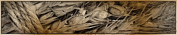 3dSKINALI__2140.jpg