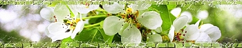 3dSKINALI__2147.jpg