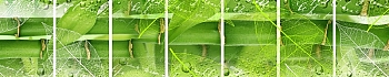 3dSKINALI__2190.jpg