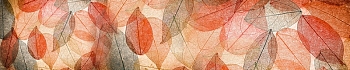 3dSKINALI__243.jpg