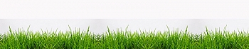 3dSKINALI__63.jpg