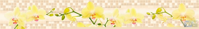 ArtSkinali1082.jpg