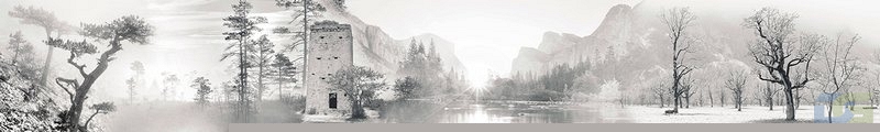 ArtSkinali1109.jpg