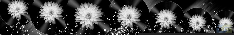 ArtSkinali1110.jpg