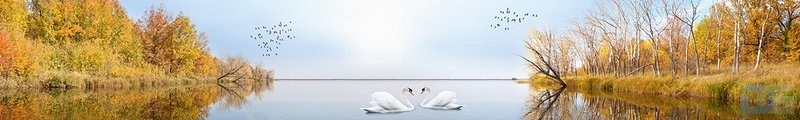 ArtSkinali1200.jpg